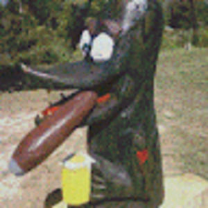 Meet your Posher, Dan